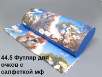 Футляр для очков